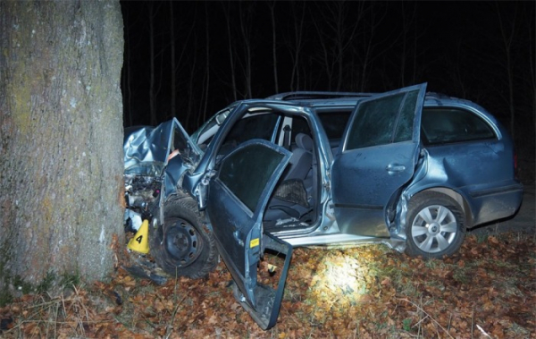 Řidič narazil vozidlem do stromu, s těžkým zraněním byl převezen do nemocnice