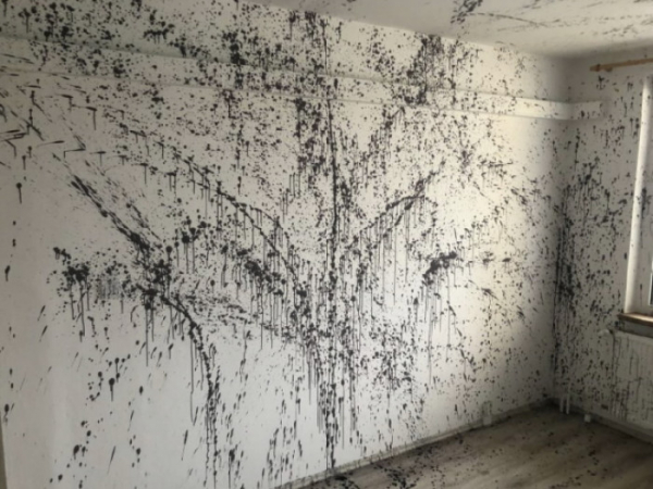 Malíř pokojů po hádce s majitelem bytu postříkal vybílené stěny černou barvou