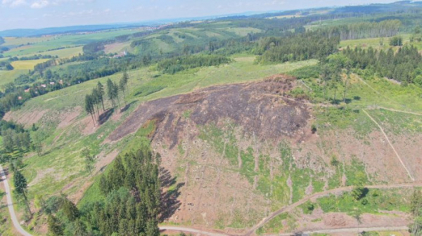 Lesy ČR: Letní požáry z nedbalosti jsou v lesích nejčastější