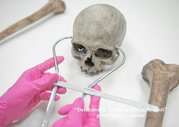 Výstava Detektivové, četníci a sběratelé kostí, v prostorách Muzea Karlovy Vary, ukáže práci kriminalistů
