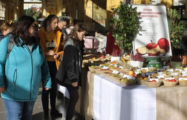Do Mariánských Lázní se opět po roce vrací voňavý jablečný festival